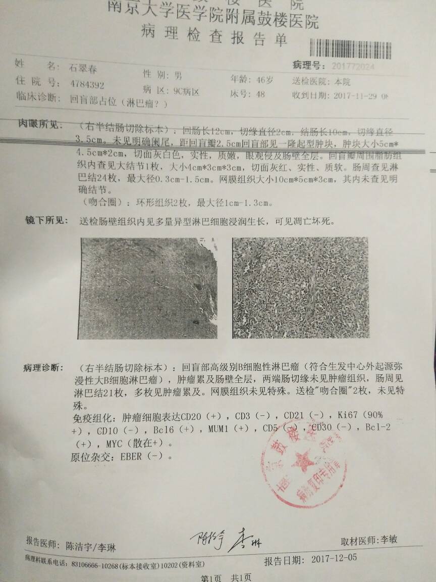 214837lfcob5y9ssiiznhc.jpg