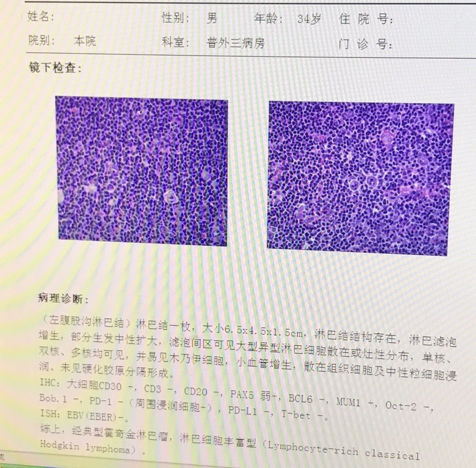病理 - 副本.JPG