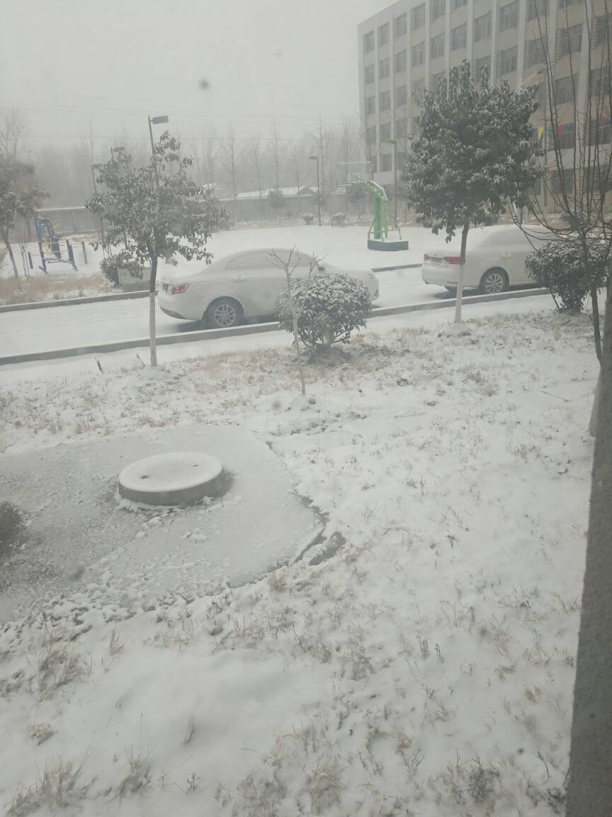 083120ejoqp5q20xvz0azr.jpg