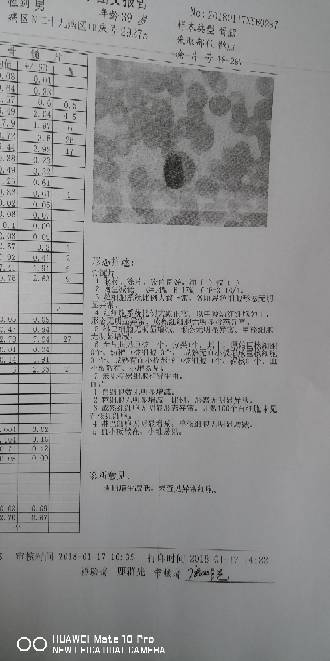 153941viqgag56d2g26hgi.jpg