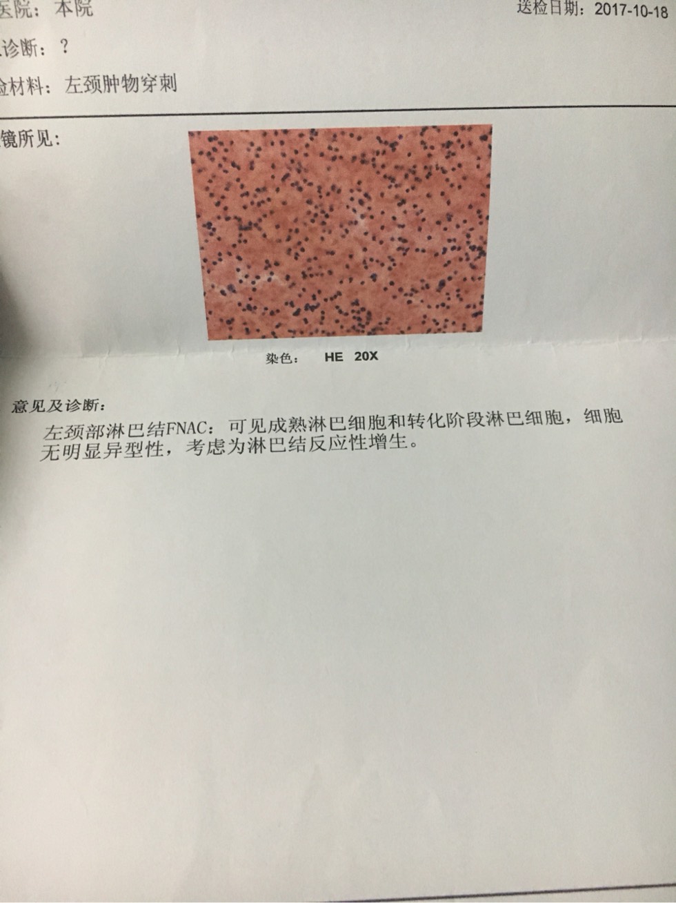 225357y8ewpt8dhe82pw2p.jpg
