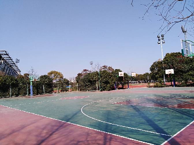 141150egnll15nn4bff84c.jpg