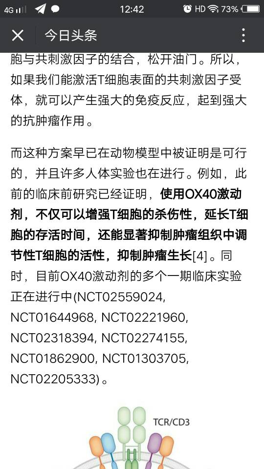 124734tnqb494r6aq4ba9v.jpg