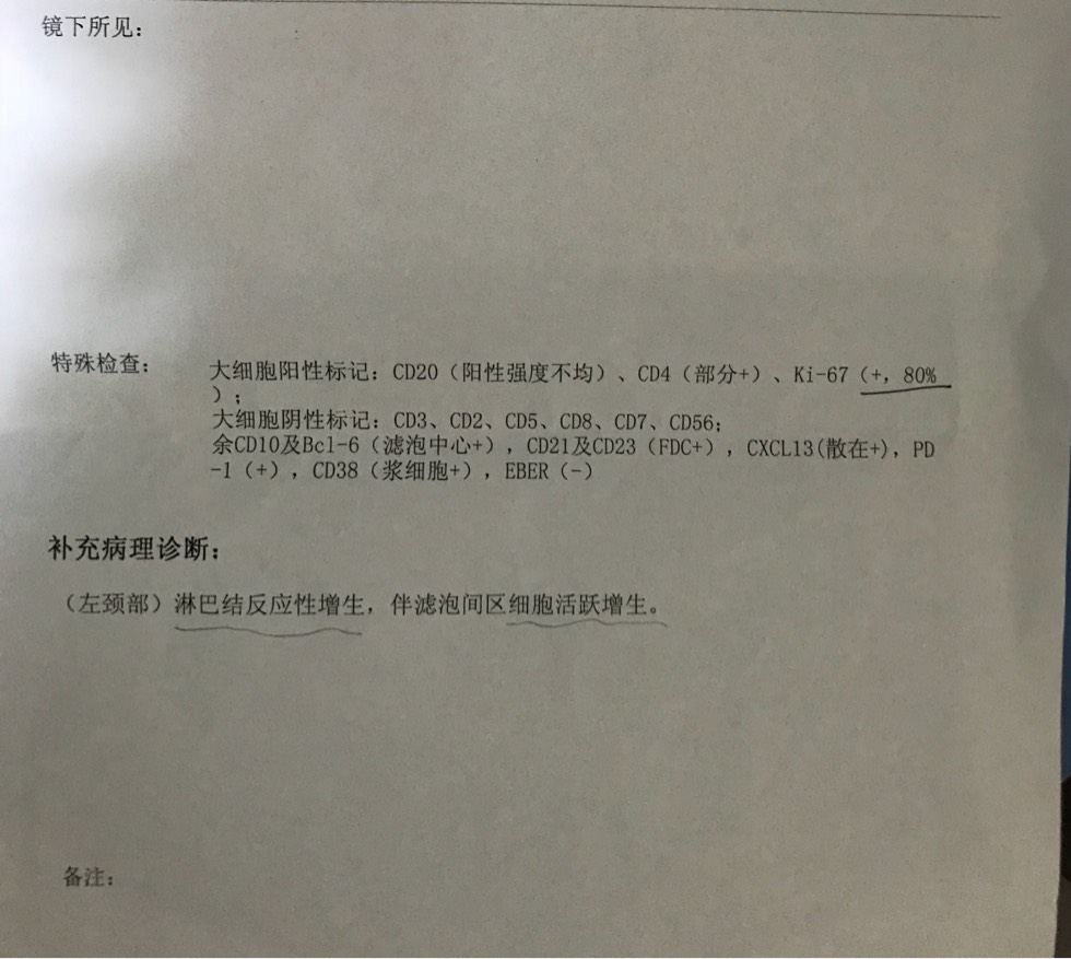 083954wkhehghshhkheri9.jpg