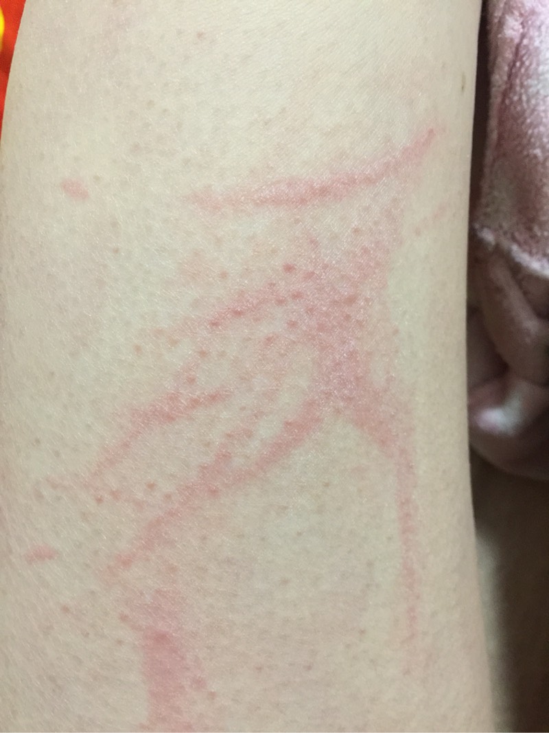 154659zpbsk0dvm3rdqswp.jpg