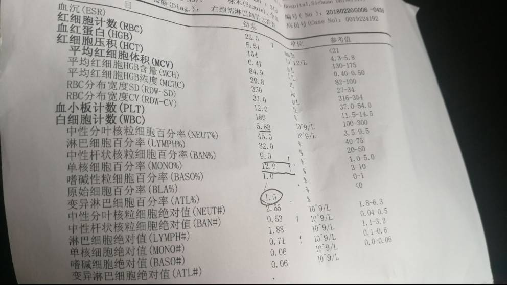 084618xr778877j8s38tgo.jpg