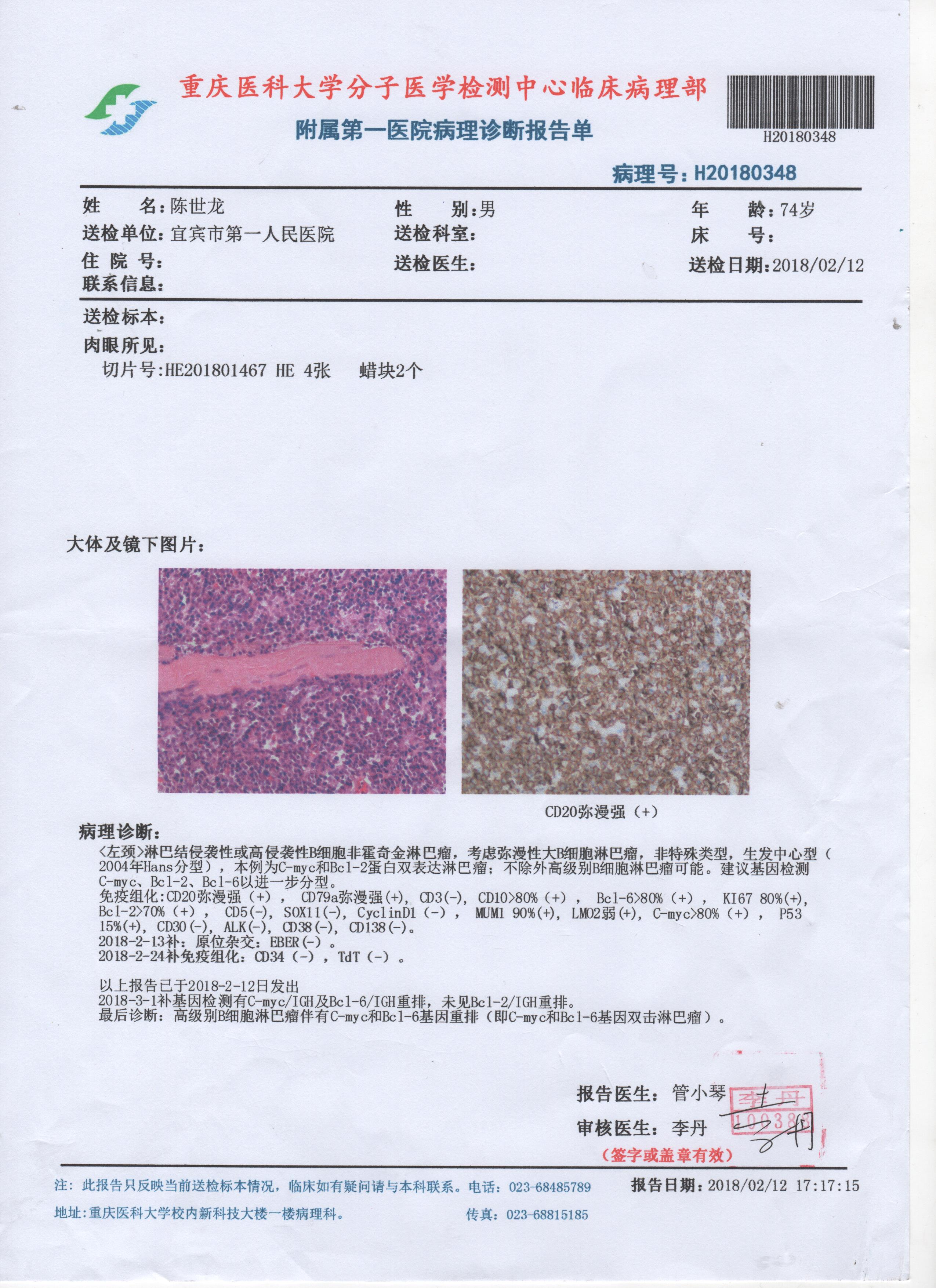 01总体结果双打击.jpg