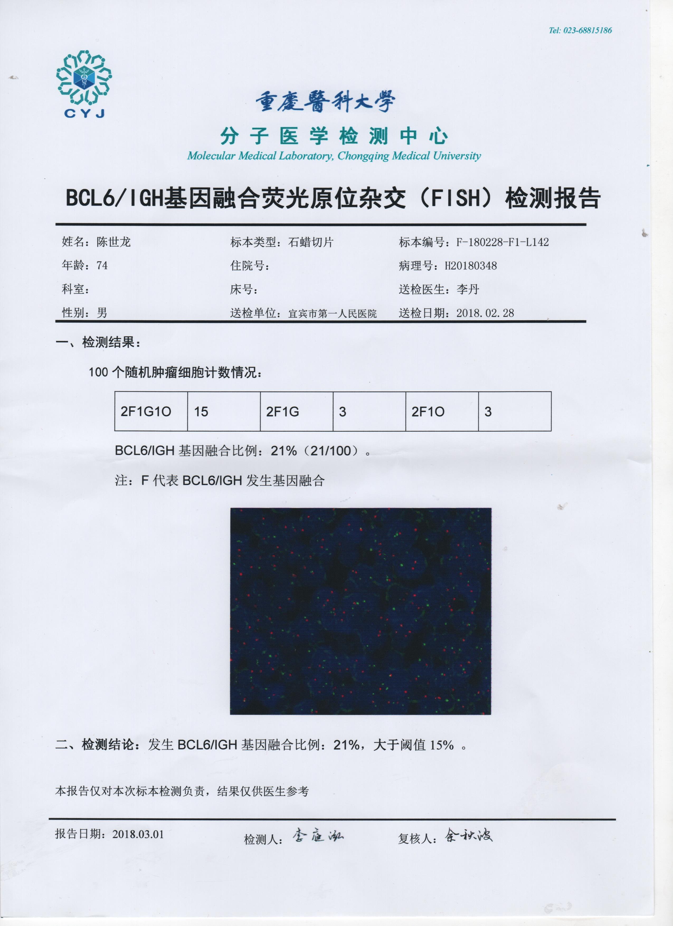 02BLC-6融合.jpg