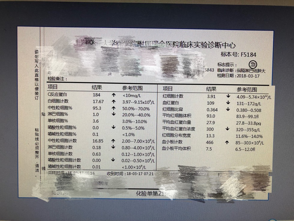164612sbppg058zy855hc5.jpg