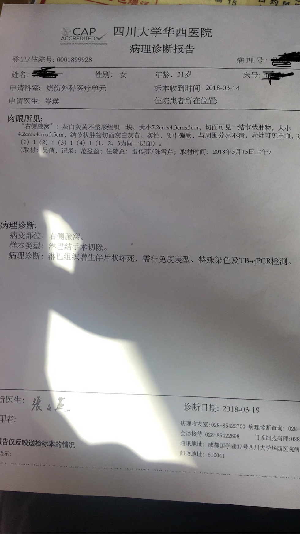 212911kdk615zq41pp4p71.jpg