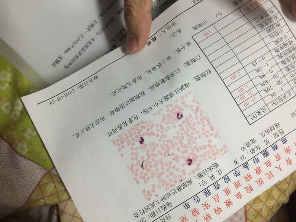 202726xu65yf6pqu6zxx0x.jpg