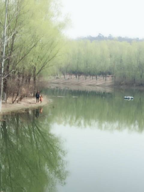 223022lif142izmzii1fhh.jpg
