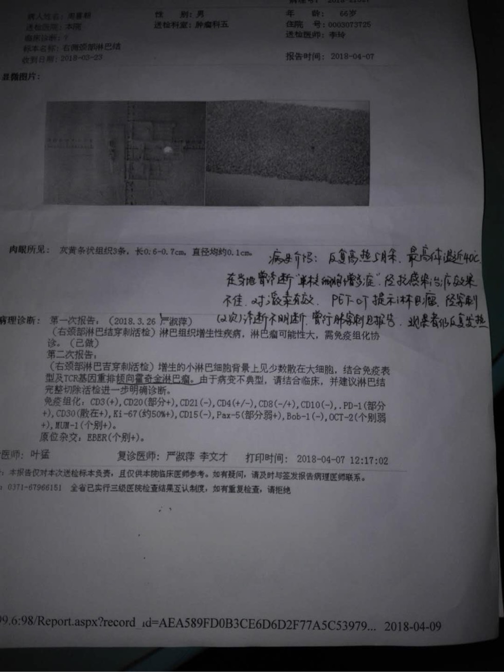 131204ixlxjx1dyzbbp44j.jpg