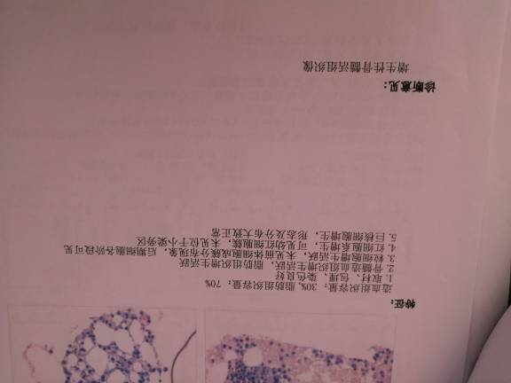 213734wjbkqx2ln8anxxxw.jpg