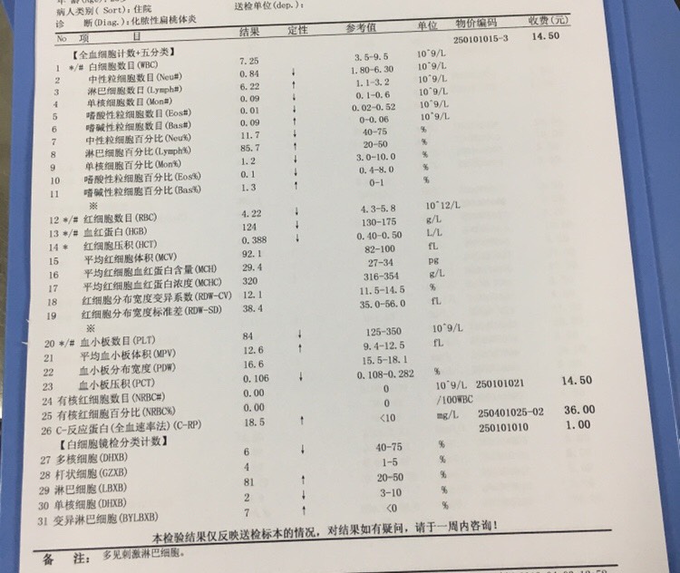 121719yg5t8zjgnync5g1w.jpg