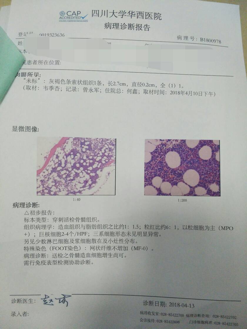 130146kjsjuuibxujxbsri.JPG