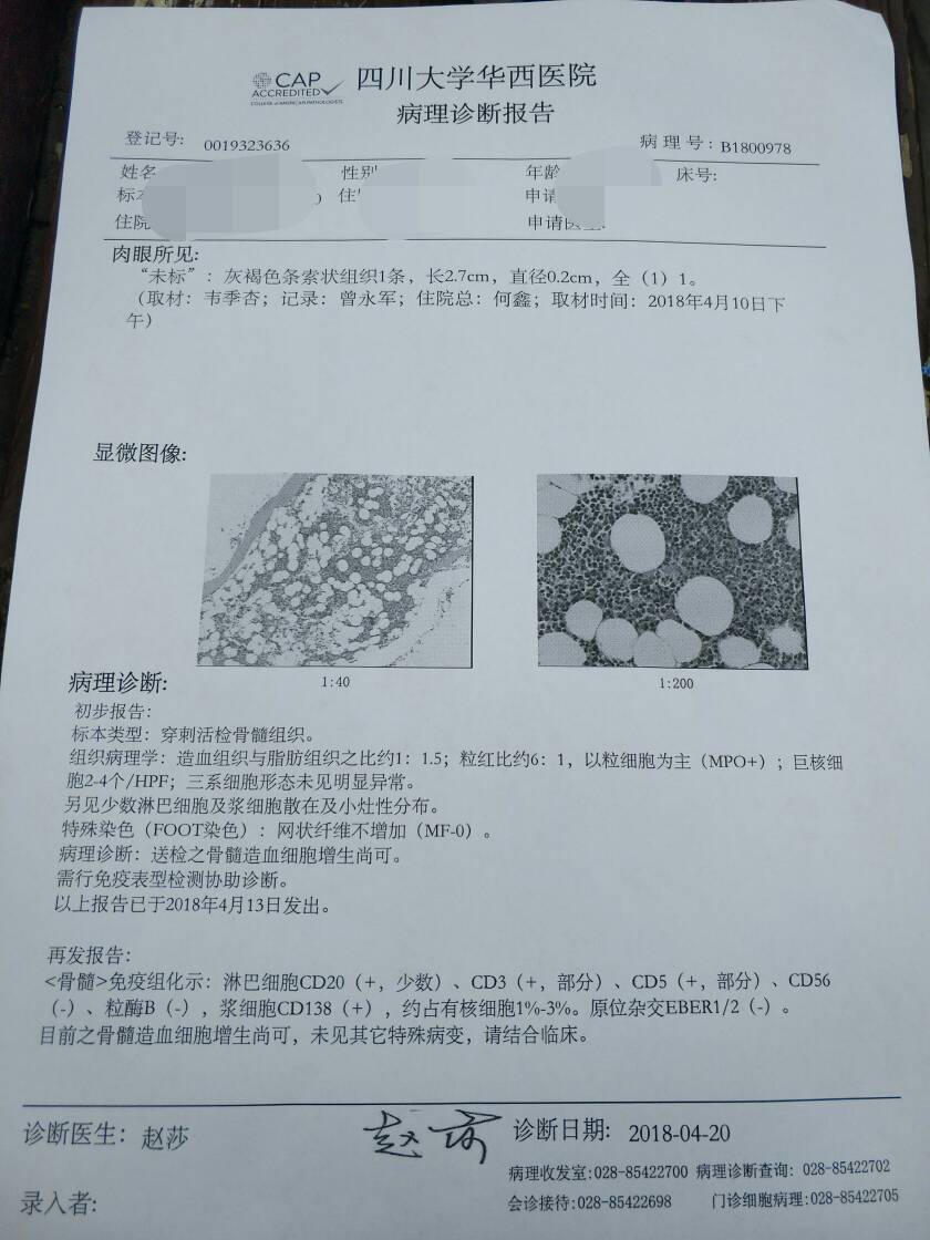 122610h1x5t9g0z12iy8uc.JPG