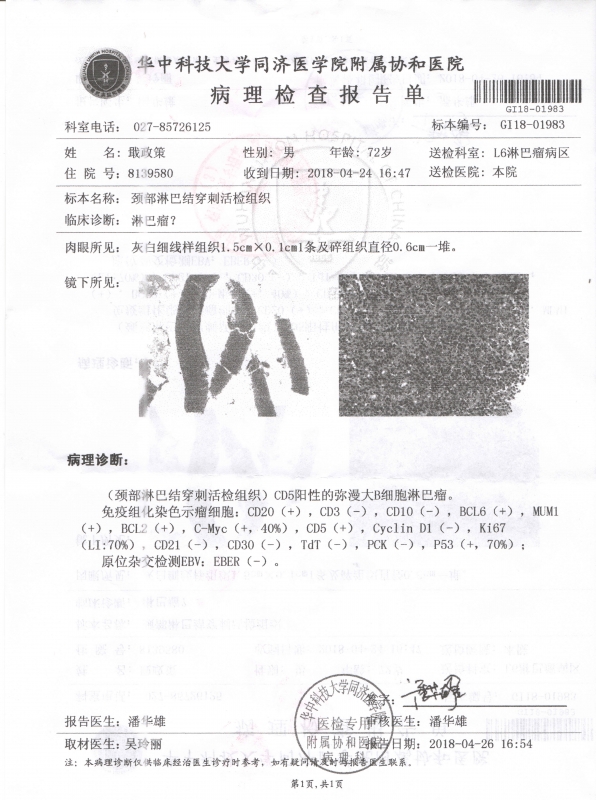 病理报告 