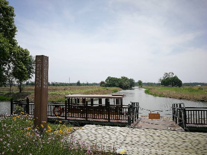 173602f420iv8090vvzf0x.jpg