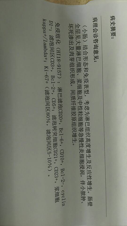 141214fjsxx1ftiexl45t6.jpg