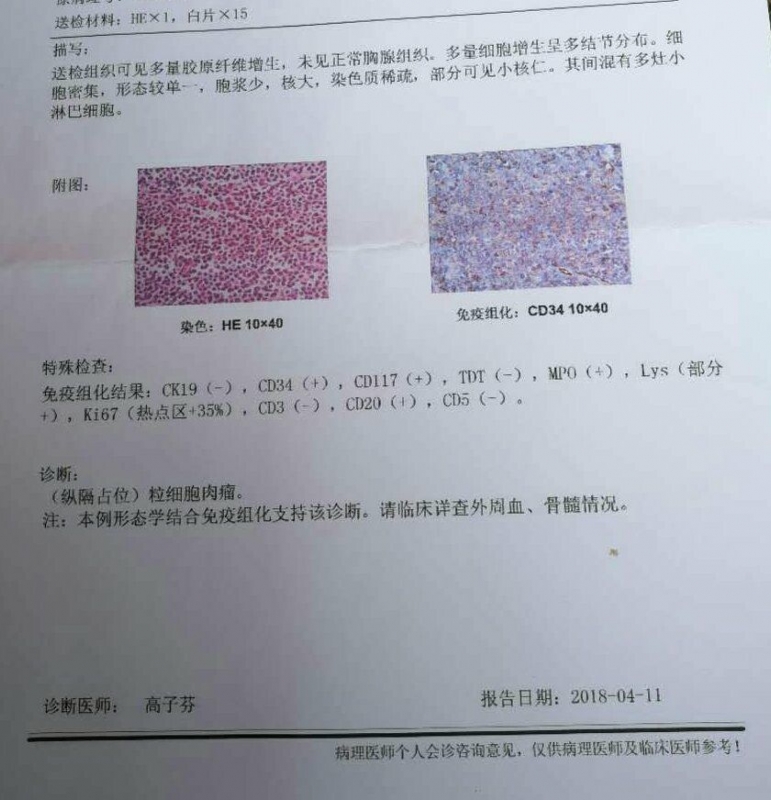 高子芬的诊断