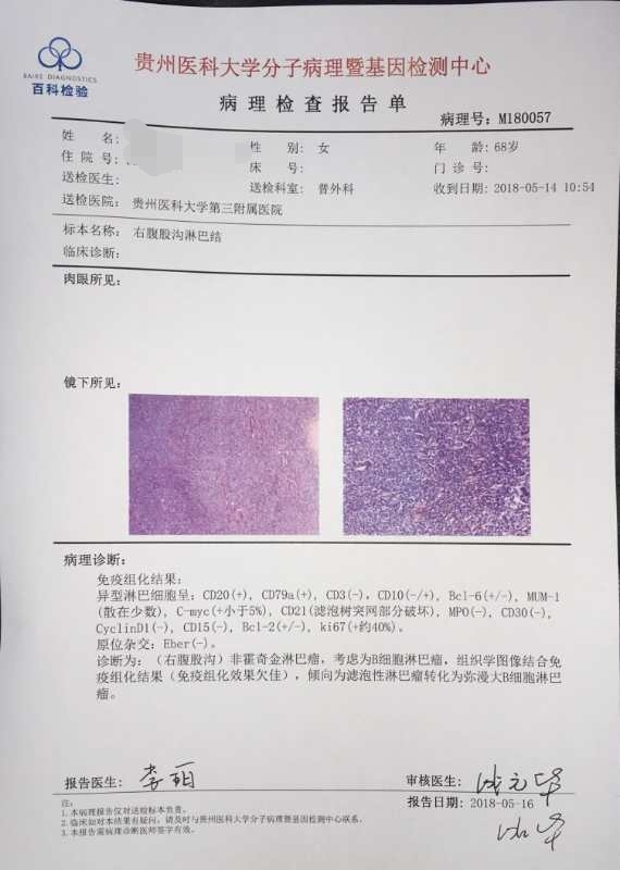 诊断结果.jpg