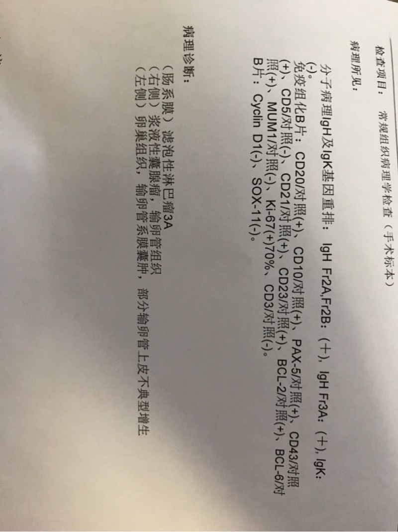 102708rfb6njvxbvjjjpjj.jpg