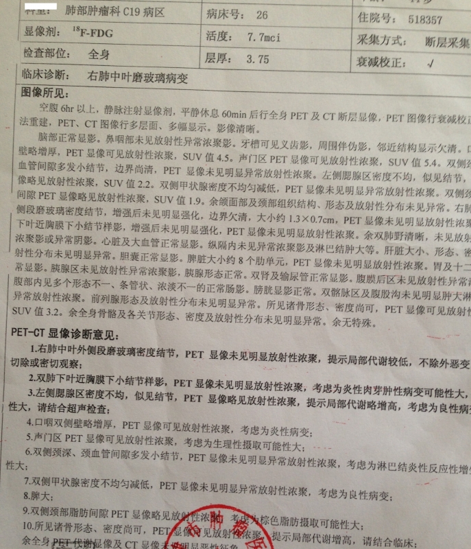pet报告.JPG