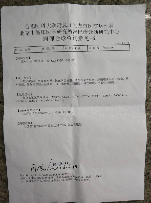 友谊周小鸽.jpg