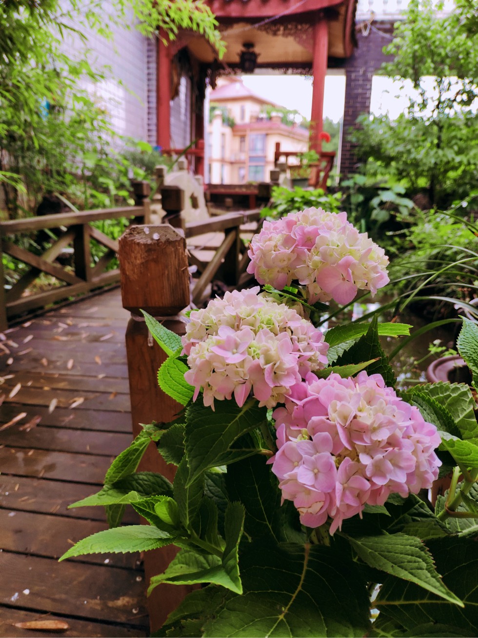 152427qgdjdk08g020zju2.jpg