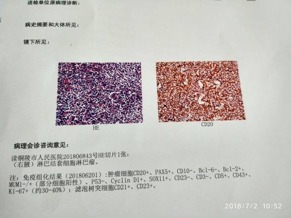 105309lk8bnc06np8wzpcj.jpg