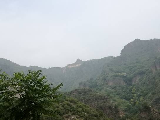 200519rjmlsrjwwmtasiav.jpg