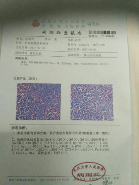 202308t101f2mjp2lptvom.jpg