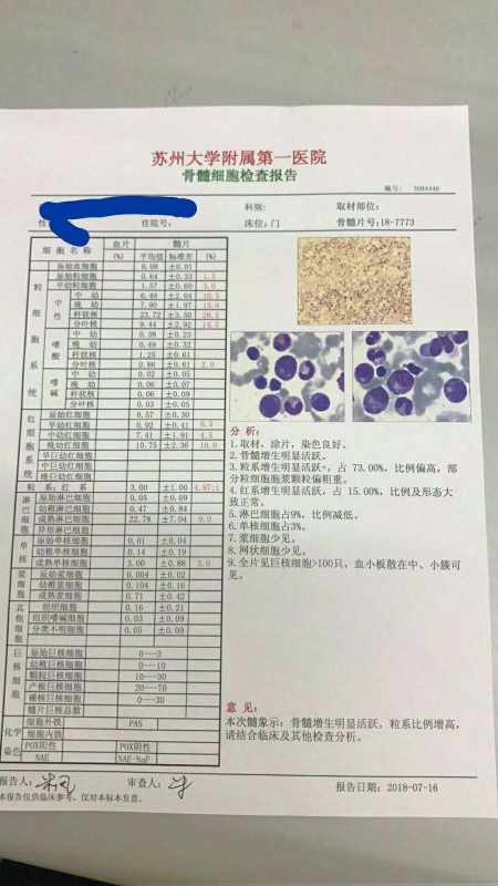 1892160852.jpg