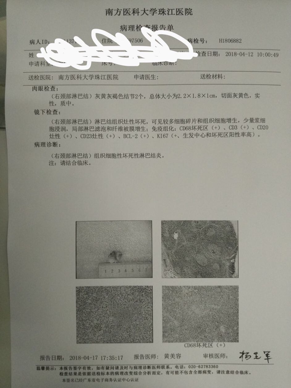 112611qmip3iitl3l252ay.jpeg