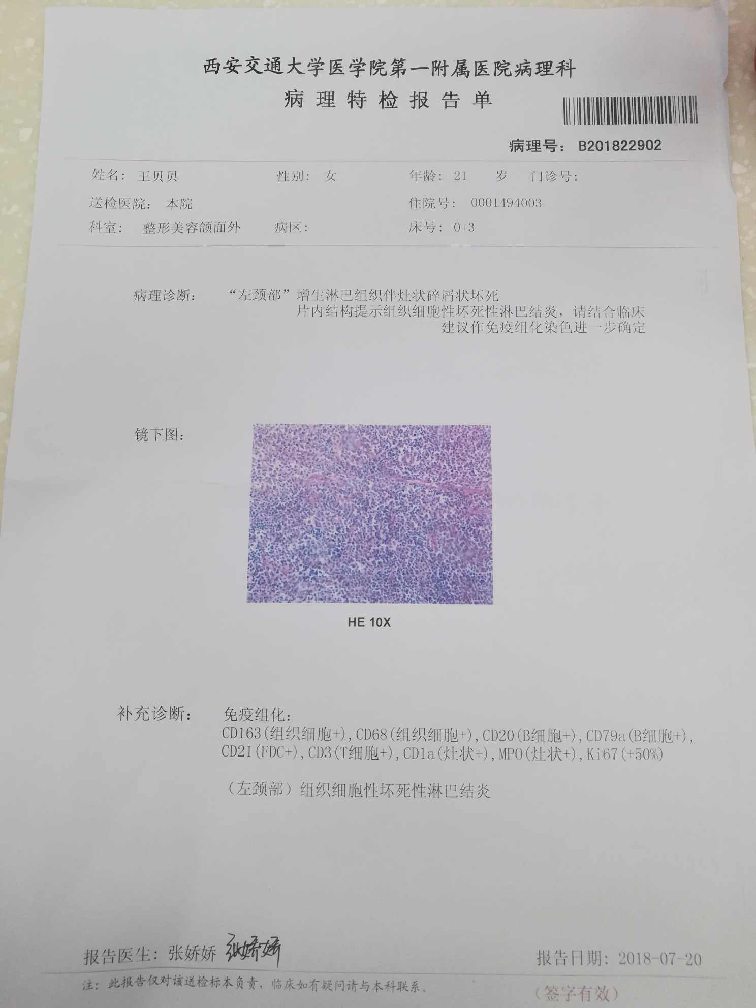 100813qcbh7a1aback30gz.jpg