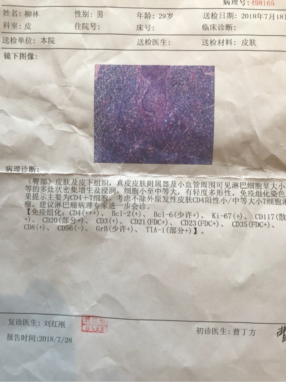 214040chhdapiphaioopod.jpg