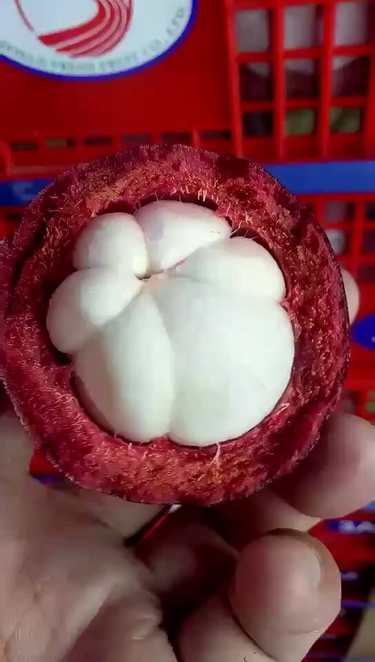 163825pklhhhekzk2i8huy.jpg