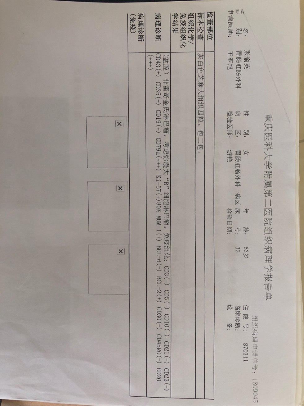 173526rvf0vf8kgflf4xvc.jpg