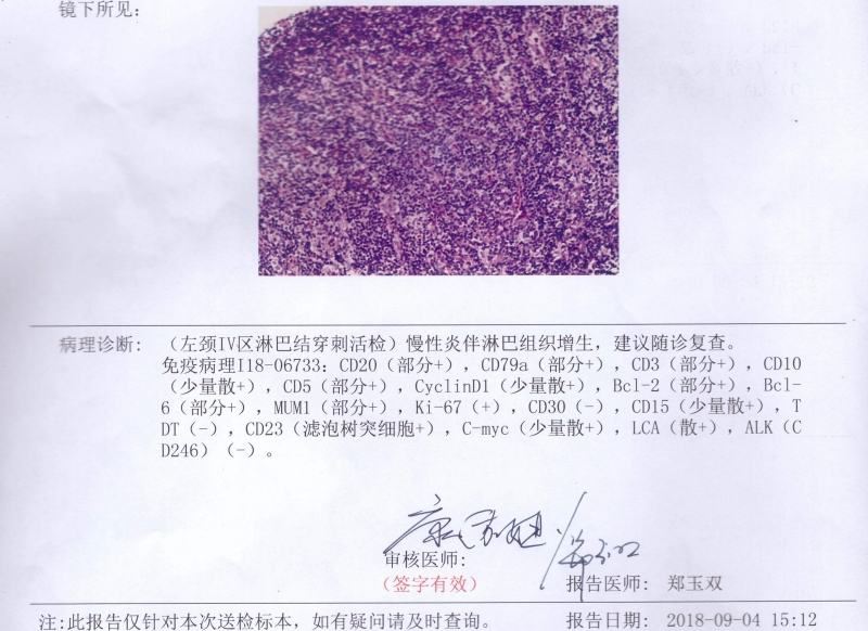 病理报告