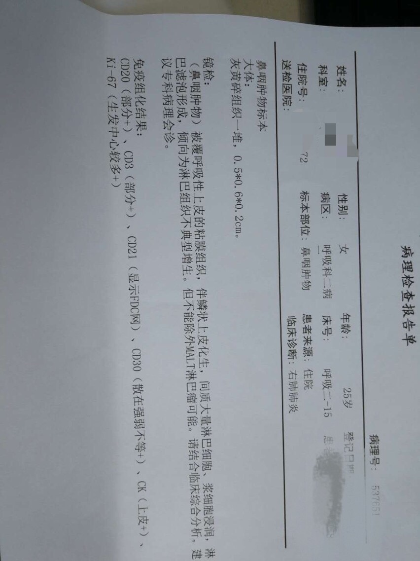 131310sze2r2wdrmkjldzw.jpg