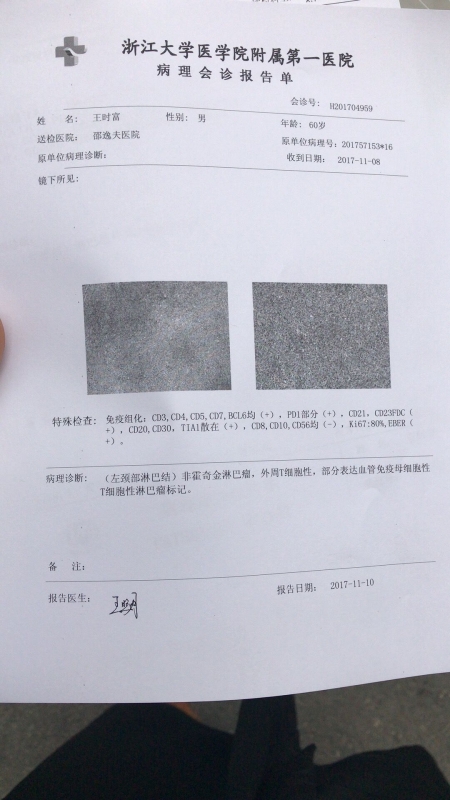 病理切片报告