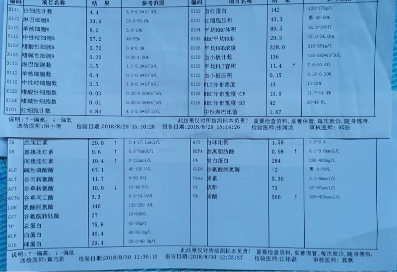 060741gssa1zaed1hc8iew.jpg