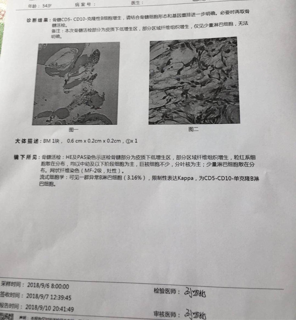 065131e2zd2zovcnrgll7c.jpg