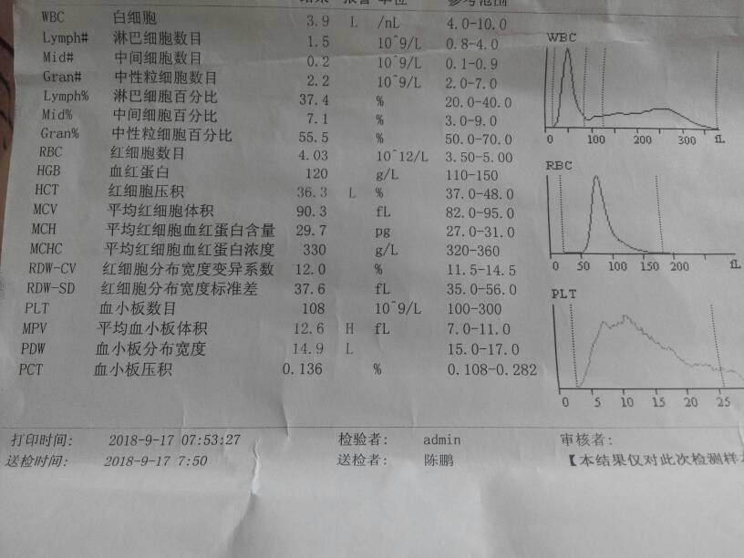 132941de1weswp6q666pii.jpg