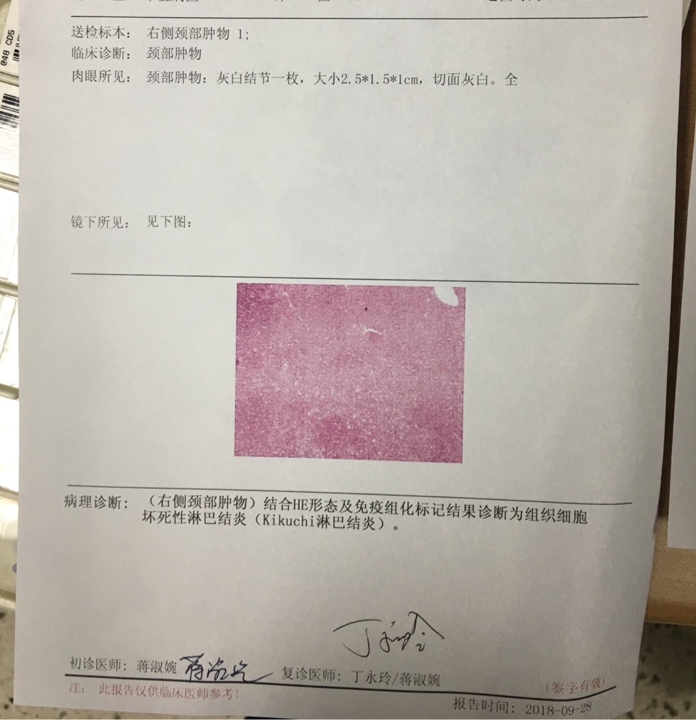 111827n7rtud9wuu1op9zd.jpg