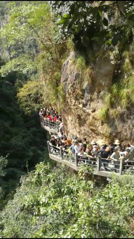 微信图片_20181008141717.jpg