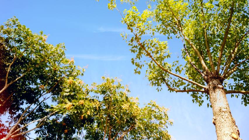 105559ideodd0hkb7h0eoa.jpg