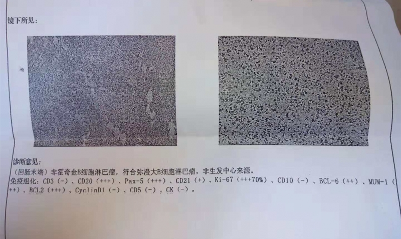 微信图片_20181025181133_副本.jpg