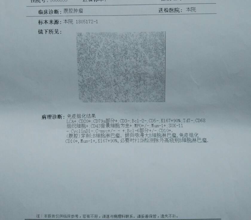 190740khm0w8jw6djh8gps.jpg